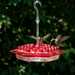 Hummingbird Feeder with Perch – 30 Diamond Feeding Ports, Built-In Ant Moat, 12 oz Hanging Outdoor Feeder
