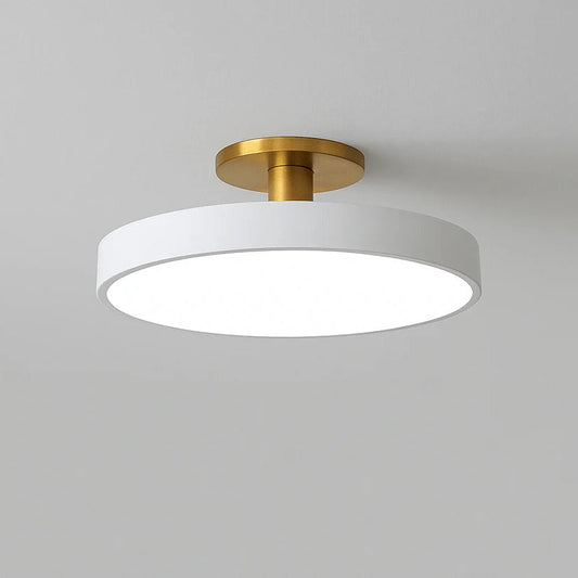 LED Ceiling Light