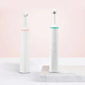 Plaque Remover for Teeth and Gums