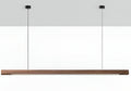 LED Pendant Light