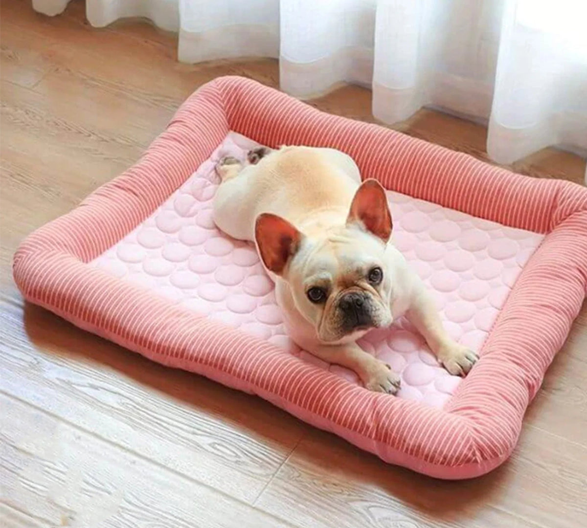 Cooling Dog Bed with Ice Silk Material