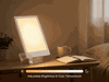Therapeutic Sunlight Lamp For Depression remake preview.gif