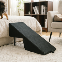 2-in-1 Convertible Dog Ramp and Step Stool