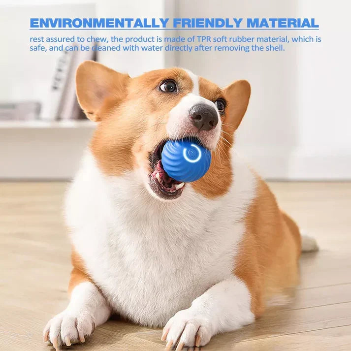 Active Rolling Ball Anti-Anxiety Automatic Moving Ball