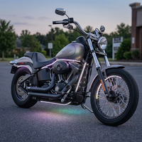 Motorcycle LED light kit with multicolor underglow